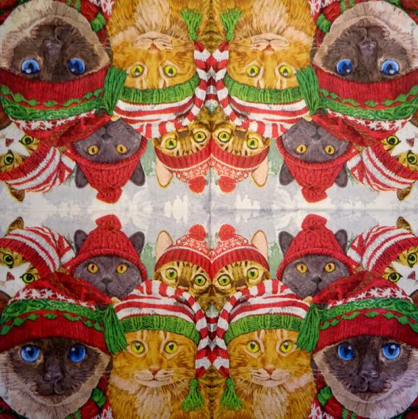 KAT-945 Cats - 3-ply - ppd - Two Can Art